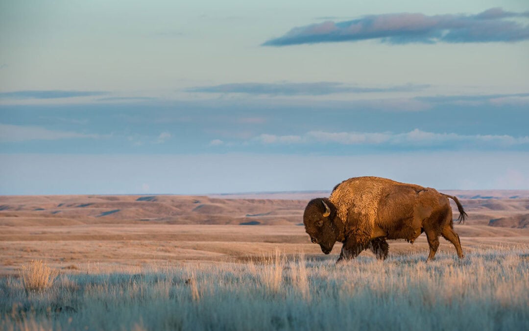 Fanning the Flames of Hope in North Dakota