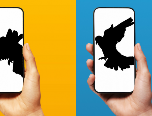 What if Your Texts Traveled as Slowly as a Carrier Pigeon?